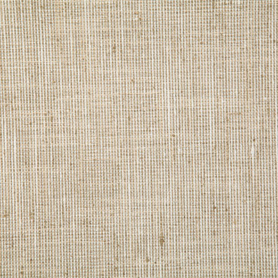 Pindler Ryan Straw Fabric 7537