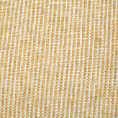 Pindler Ryan Sunshine Fabric 7537
