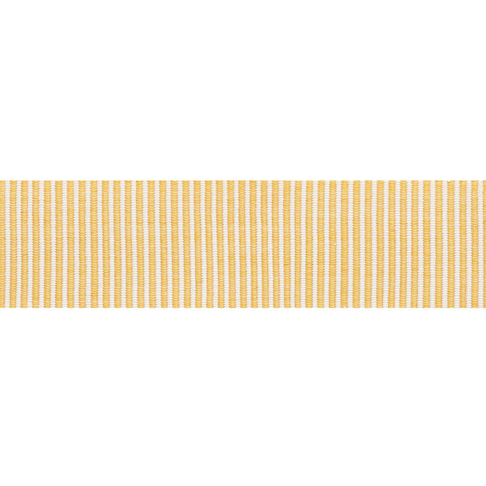 Schumacher Knox Tape Gold Trim 75581
