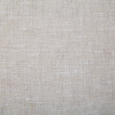 Pindler Debbie Natural Fabric 7563