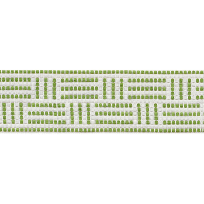 Schumacher Brickell Tape Indoor/Outdoor Leaf Trim Sample 75961