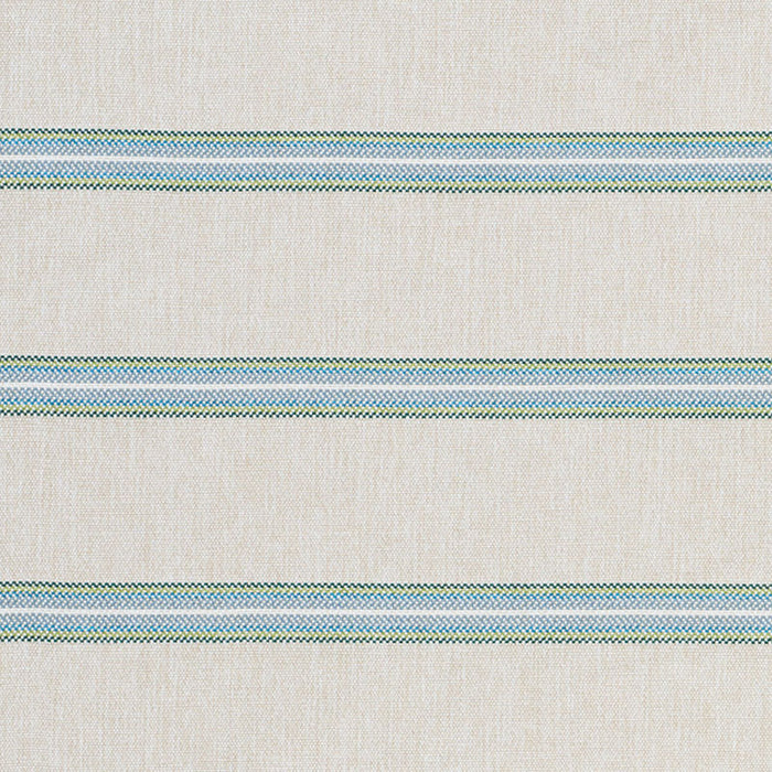 Schumacher Garden Stripe Indoor/Outdoor Meadow Fabric Sample 75970
