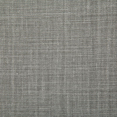 Pindler Paloma Shale Fabric 7647