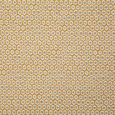 Pindler Patio Golden Fabric 7721