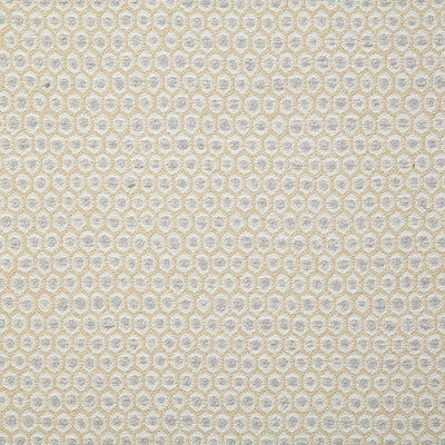 Pindler Patio Marble Fabric 7721