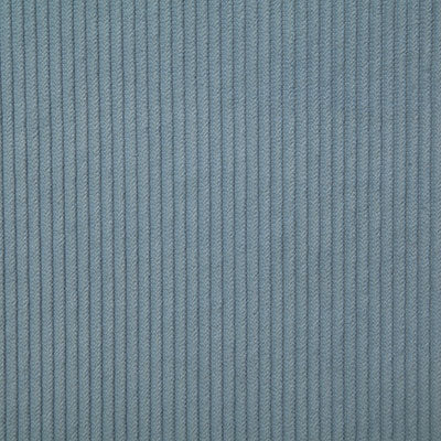 Pindler Corduroy Lake Fabric 7746