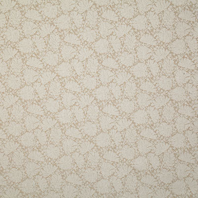 Pindler Rachelle Natural Fabric 7764