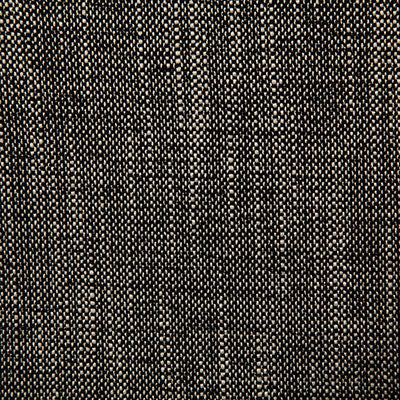 Pindler Denville Noir Fabric 7777