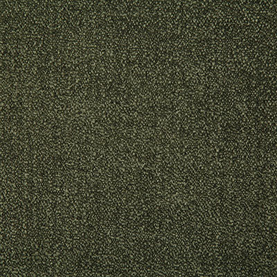 Pindler Wilkerson Fern Fabric 7895