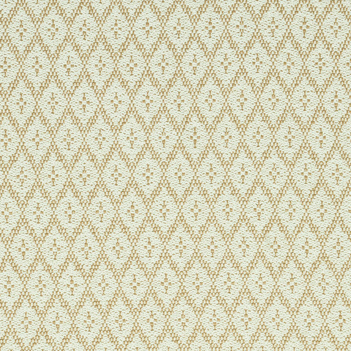 Schumacher Olmsted Indoor/Outdoor Natural Fabric 79171