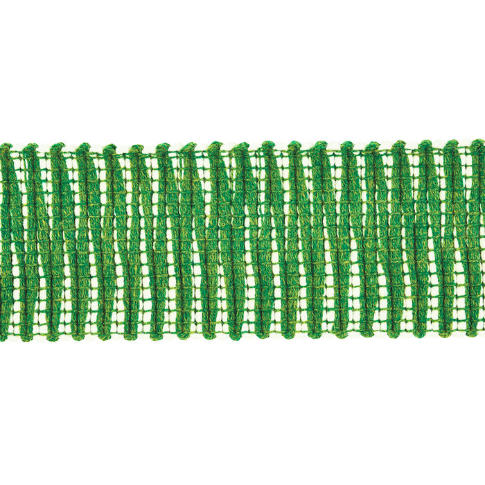 Schumacher Pierce Tape Indoor/Outdoor Green Trim Sample 79410
