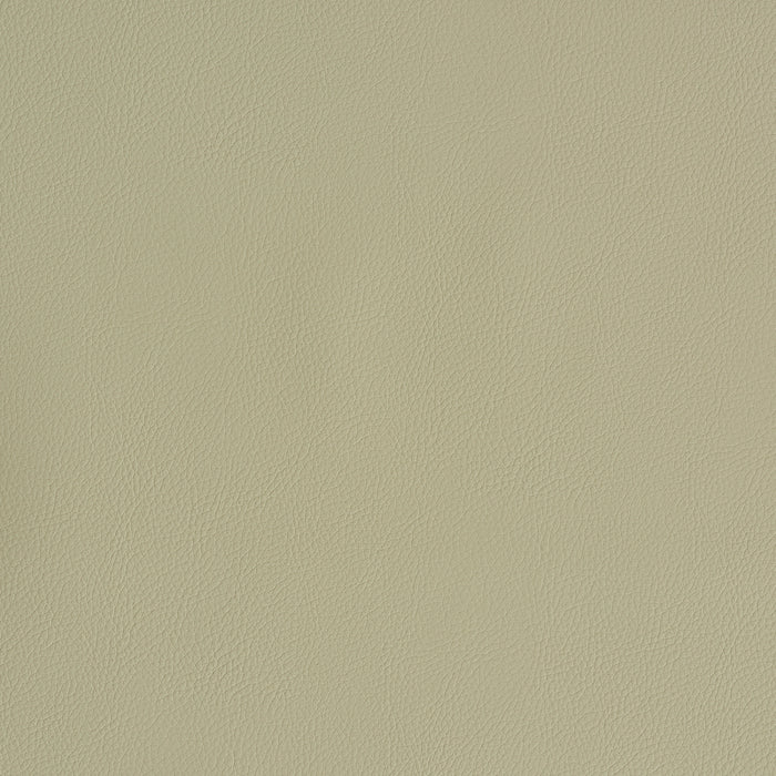 Schumacher Vegan Leather Indoor/Outdoor Dune Fabric 79553