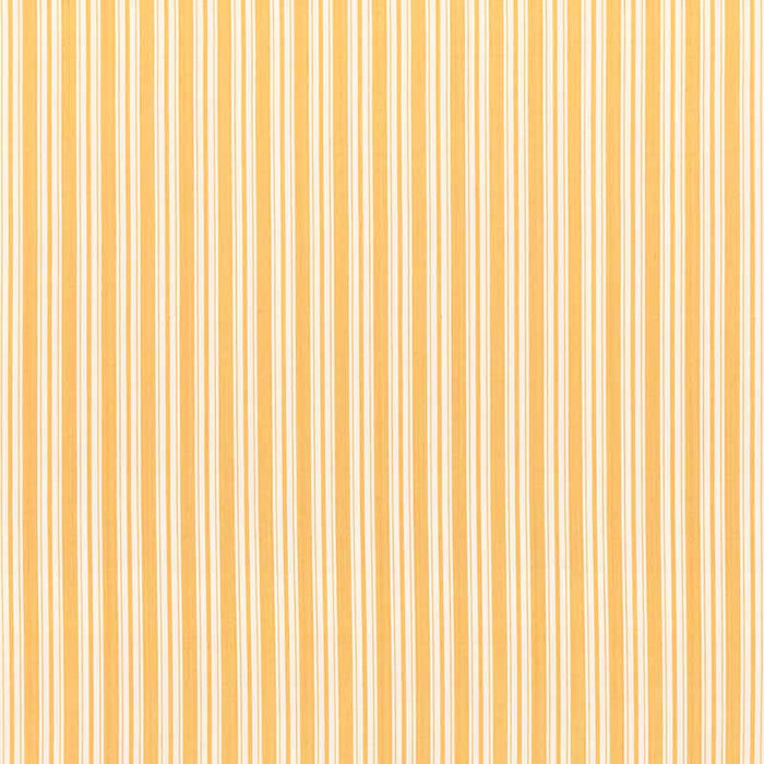 Brunschwig & Fils Selune Stripe Yellow Fabric Sample 8022118.40.0