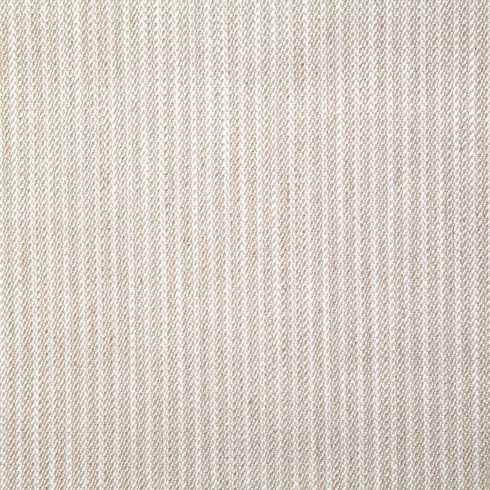 Pindler Pickering Tussah Fabric PIC022-BG01