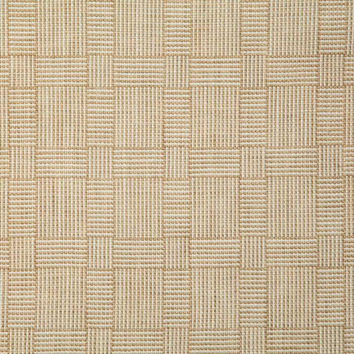 Pindler Ruben Sand Fabric RUB010-BG01