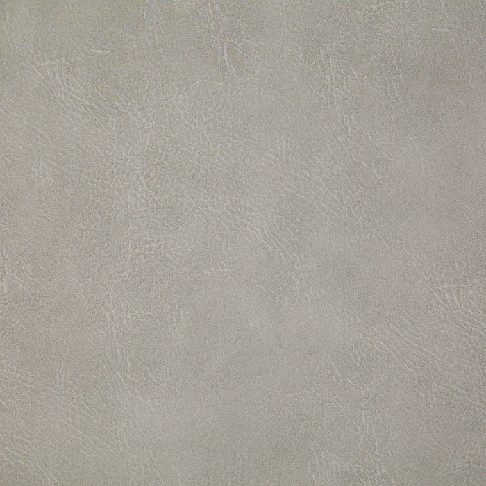 Pindler Gitty Up Fog Fabric GIT002-GY09