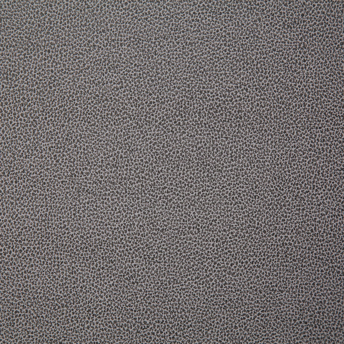 Pindler Lasso Ash Fabric LAS011-GY13