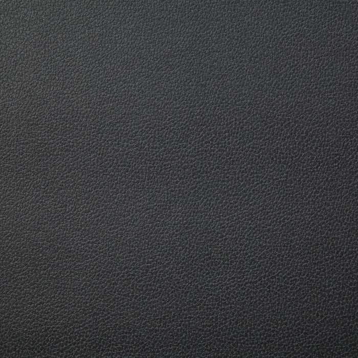 Pindler Lasso Charcoal Fabric LAS011-GY25