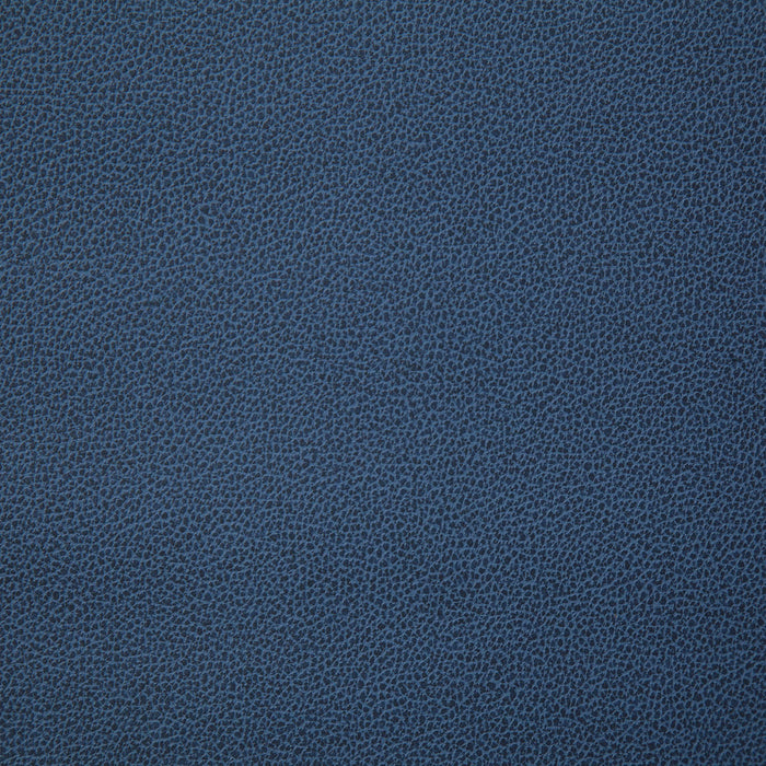 Pindler Lasso Harbor Fabric LAS011-BL05