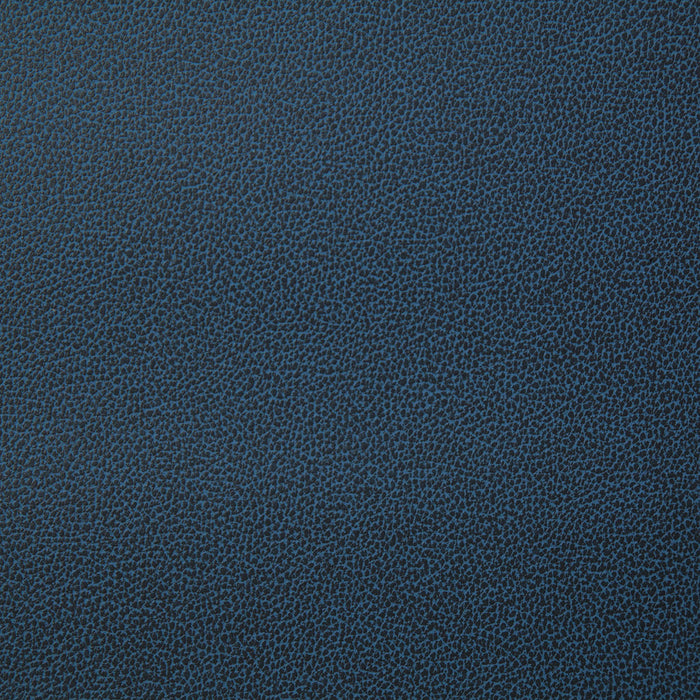 Pindler Lasso Ink Fabric LAS011-BL09