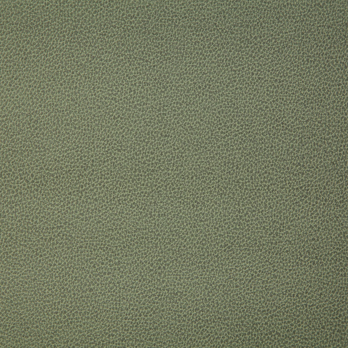 Pindler Lasso Moss Fabric LAS011-GR05