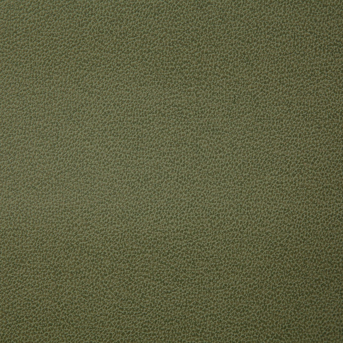 Pindler Lasso Palm Fabric LAS011-GR01