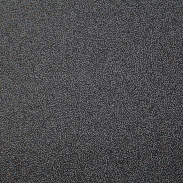 Pindler Lasso Thunder Fabric LAS011-GY21
