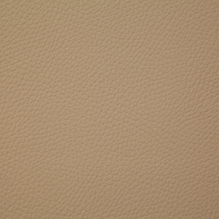Pindler Bandero Buckskin Fabric BAN070-BG05