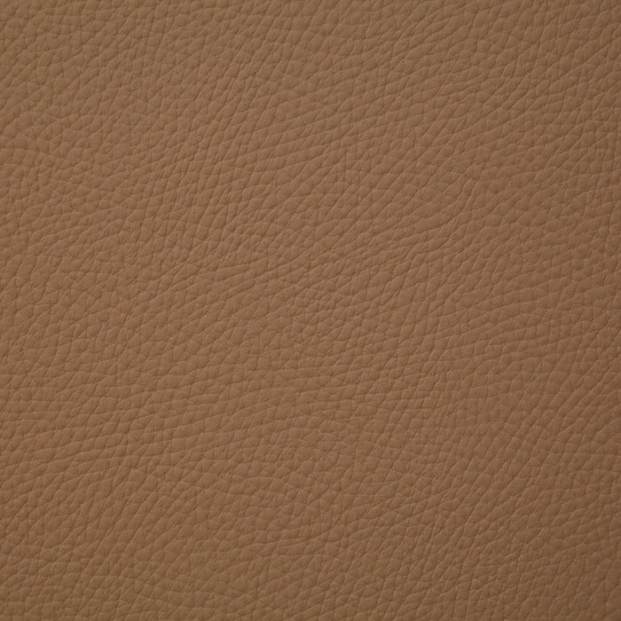 Pindler Bandero Camel Fabric BAN070-BR01