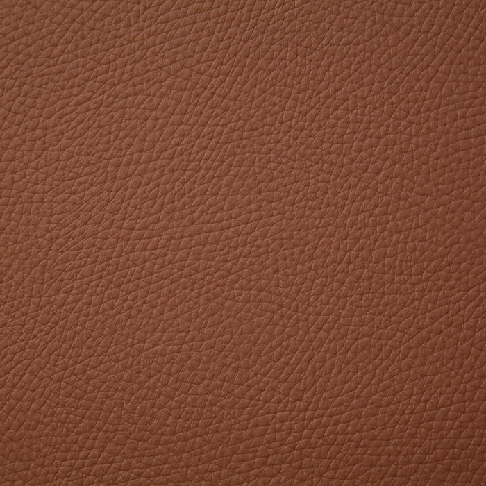 Pindler Bandero Saddle Fabric BAN070-BR05