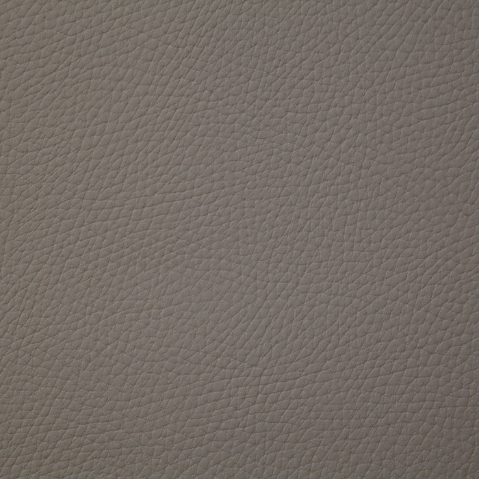 Pindler Bandero Taupe Fabric BAN070-GY21