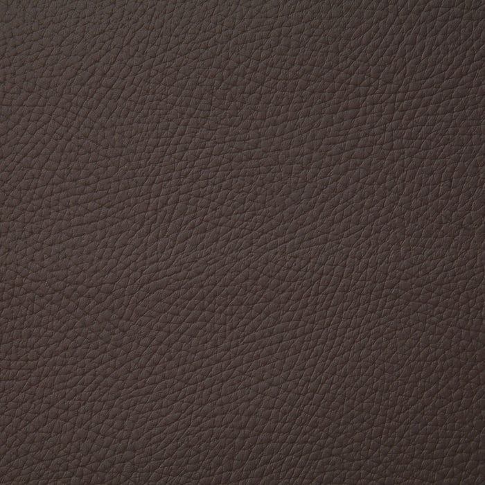 Pindler Bandero Walnut Fabric BAN070-BR09
