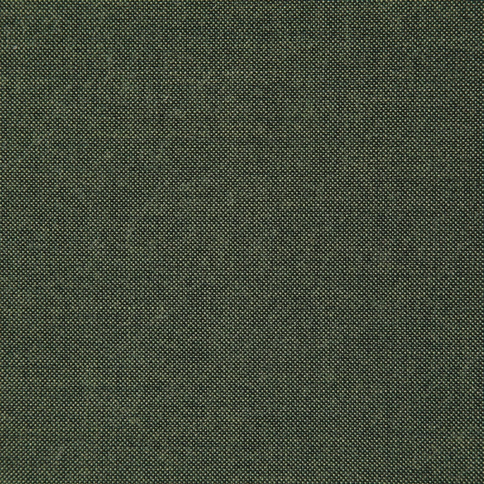 Pindler Cliffridge Lichen Fabric CLI026-GR09