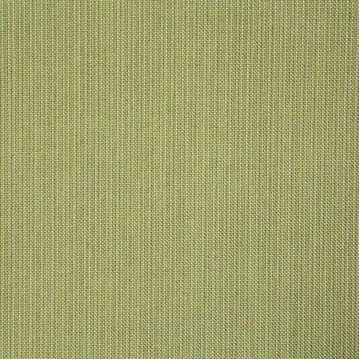 Pindler Rockwell Citrus Fabric ROC041-GR05