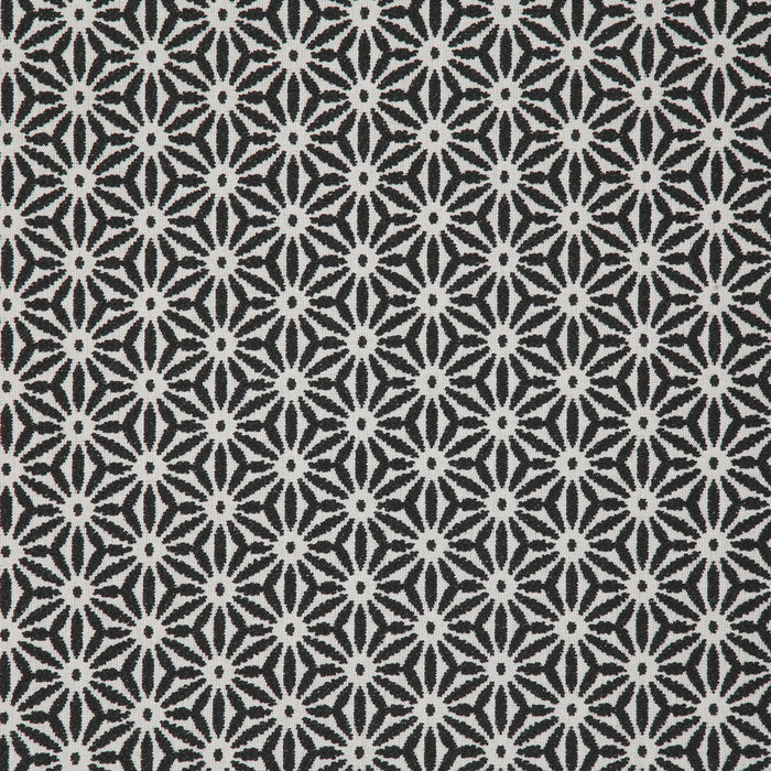 Pindler Tidepool Domino Fabric TID006-BK01