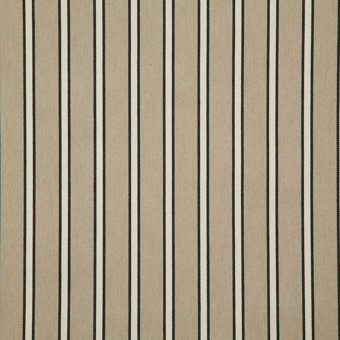 Pindler Mayer Noir Fabric MAY045-BK01