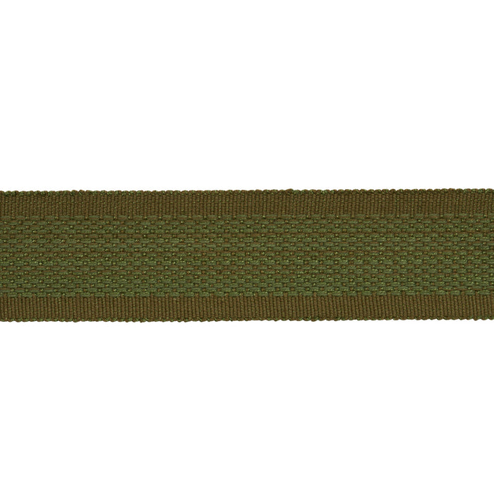 Schumacher Cardiff Tape Green Trim 83383