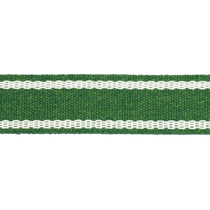 Schumacher Sullivan Tape Narrow Indoor/Outdoor Green Trim 83672