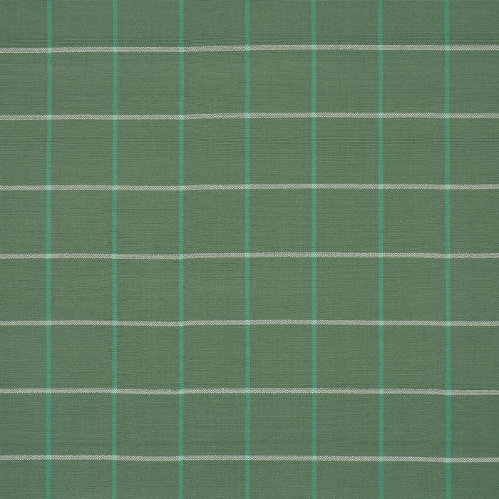 Schumacher Frannie Windowpane Green Fabric Sample 83783