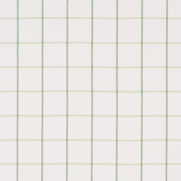 Schumacher Frannie Windowpane Leaf Green Fabric 83786