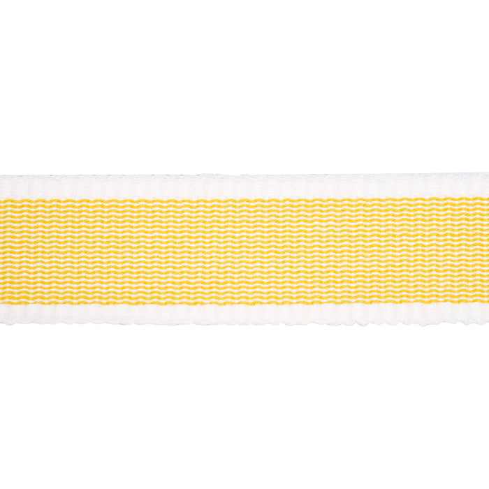 Schumacher Sandpiper Tape Narrow Yellow Trim 83890