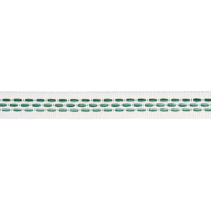 Schumacher Portola Tape Narrow Indoor/Outdoor Green Trim 85182