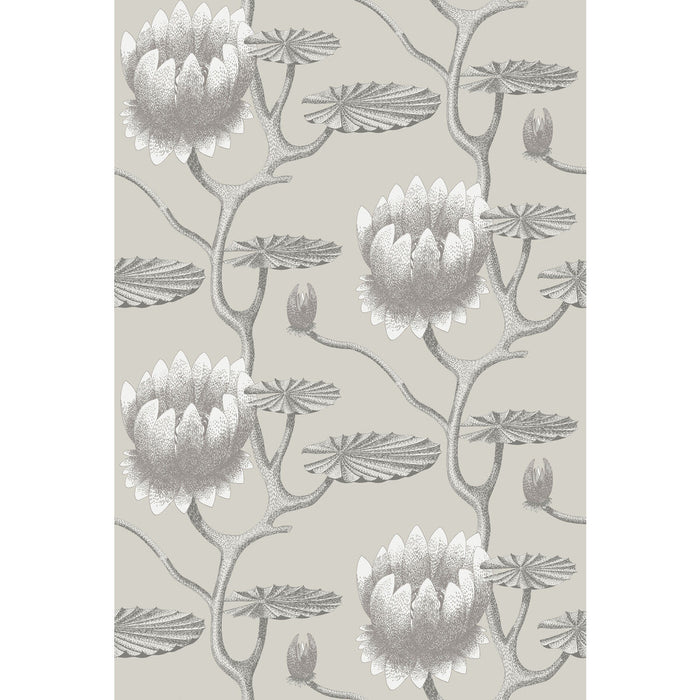 Cole & Son Summer Lily Taupe/White Wallpaper Sample 95/4025.CS.0