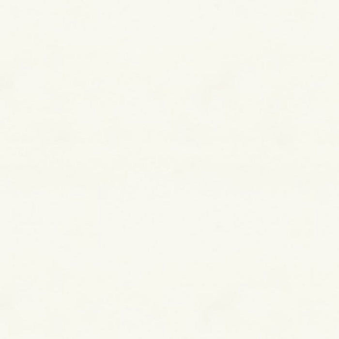 Brunschwig & Fils Laudine White Fabric Sample 8014133.101.0