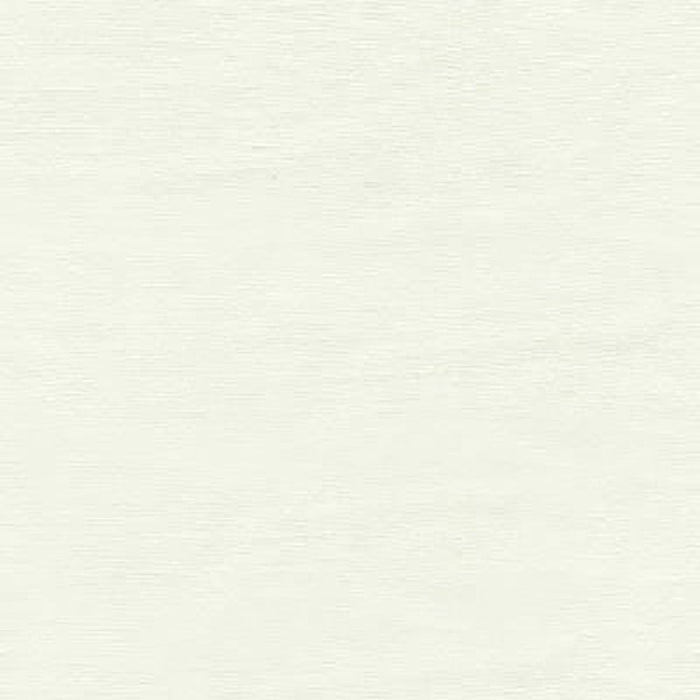 Brunschwig & Fils Felice Ivory Fabric Sample 8014132.1.0