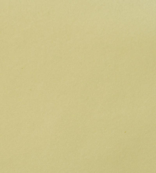 Aldeco Safety Velvet Vanilla Fabric Sample A9T0190001
