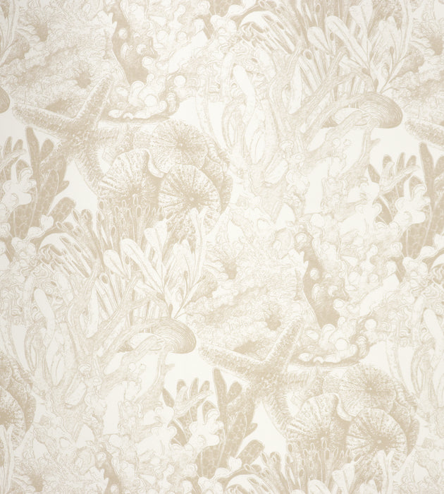 Aldeco Toile Sealife - Outdoor Fr Linen Fabric Sample A9TSEA0001