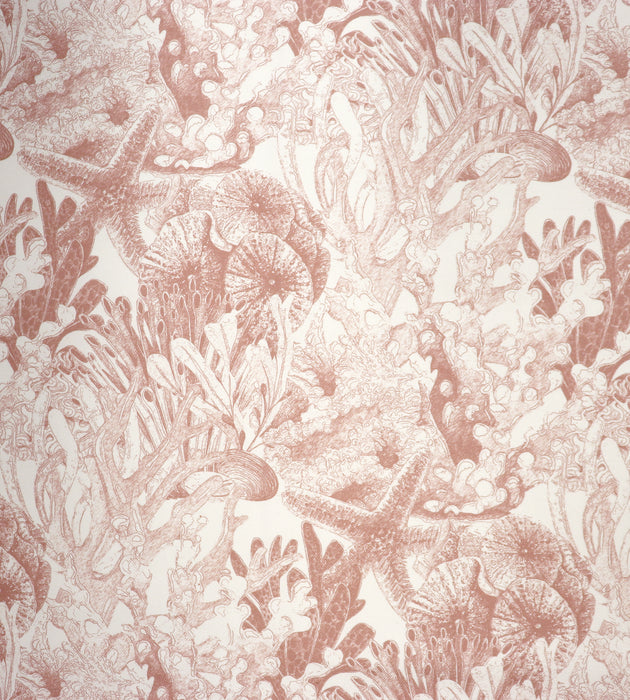 Aldeco Toile Sealife - Outdoor Fr Coral Gable Fabric Sample A9TSEA0002