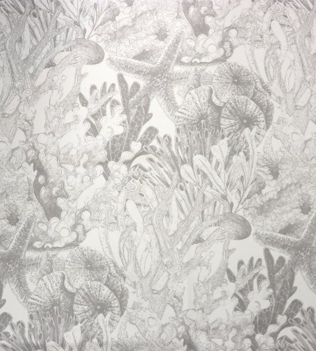 Aldeco Toile Sealife - Outdoor Fr Light Gray Fabric Sample A9TSEA0003