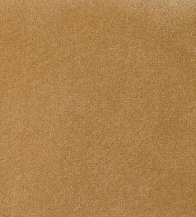 Aldeco Safety Velvet Latte Fabric Sample A9T0190004